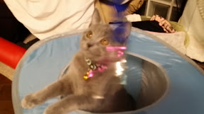 20150120_215531.jpg