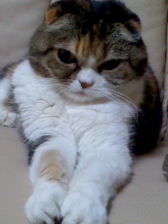 121219_0249~02.jpg