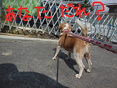 conv1619.JPG