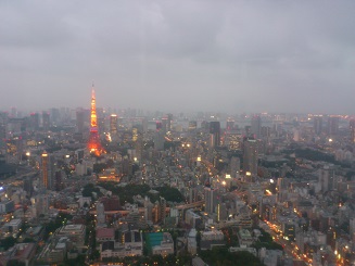 ヒルズ夜景.jpg