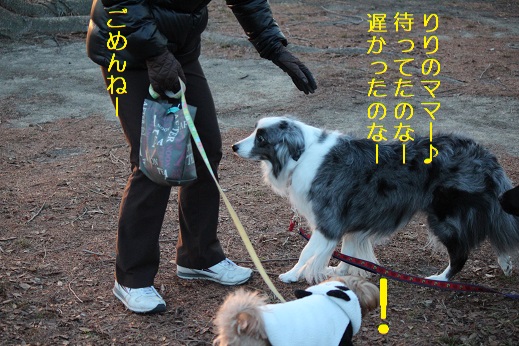 会いたかった