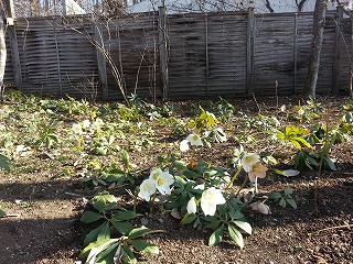 2016-01-05 10.26.11ss.jpg