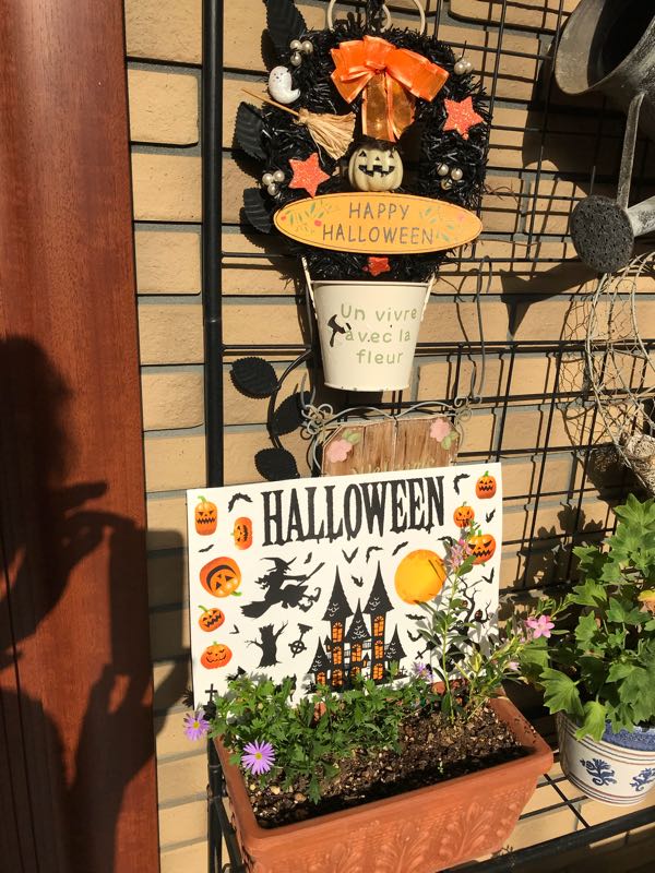rblog-20181103151333-03.jpg