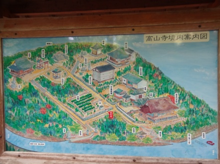 DSC00529.jpg