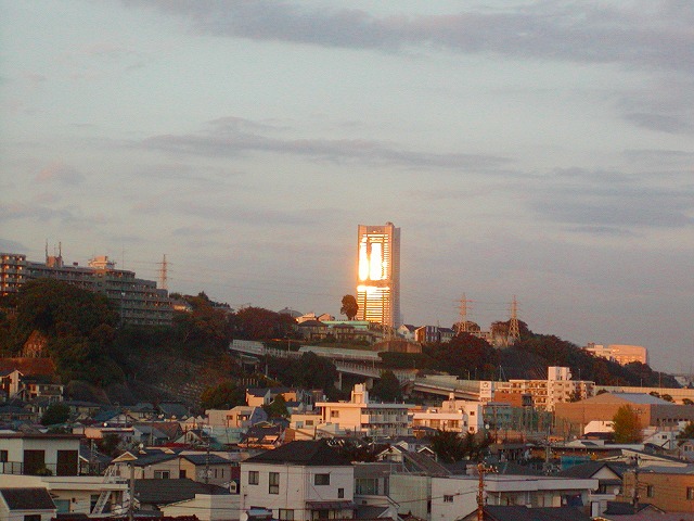 P1010072.jpg
