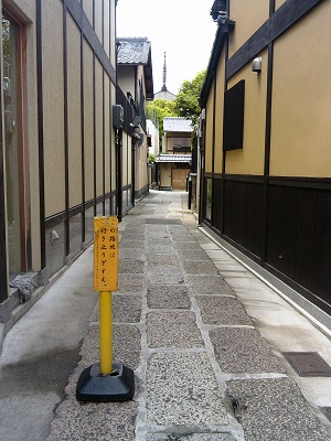 15.JPG