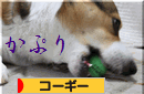 ブログ村　かぷり.gif