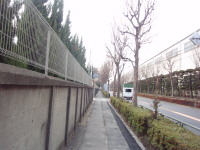 20120115_53.jpg
