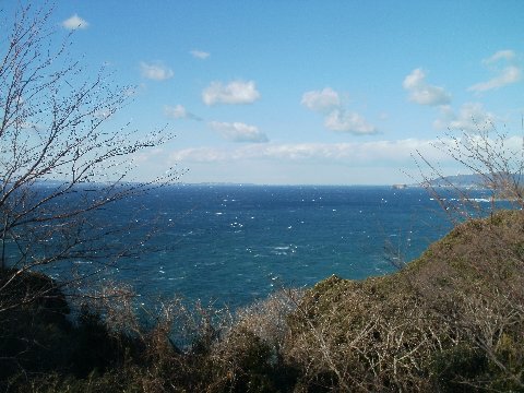 大房岬眺望1.jpg