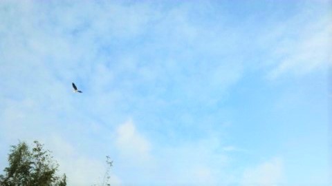 1437294610419 (3).jpg