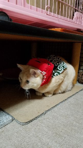 rblog-20190101133709-02.jpg