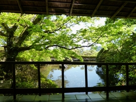 快晴・曇り・雨どんなお天気でも趣が異なり絵になる風景です