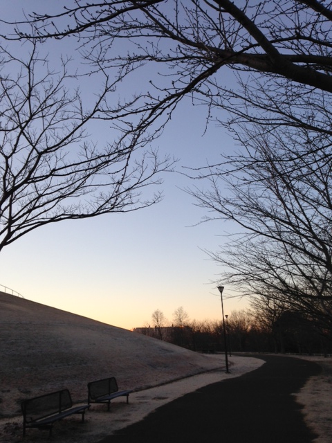 朝の公園２.JPG