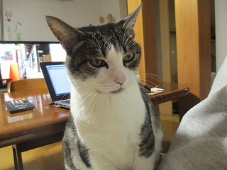 IMG_3239ss.jpg