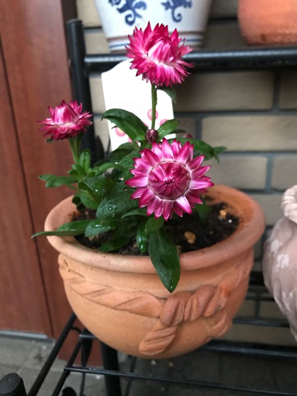 rblog-20180328191552-07.jpg