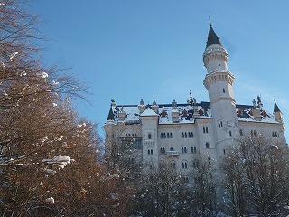 P1120638ss.jpg