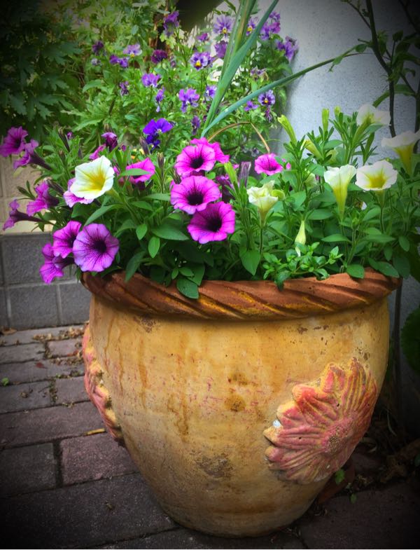 rblog-20160531203424-01.jpg