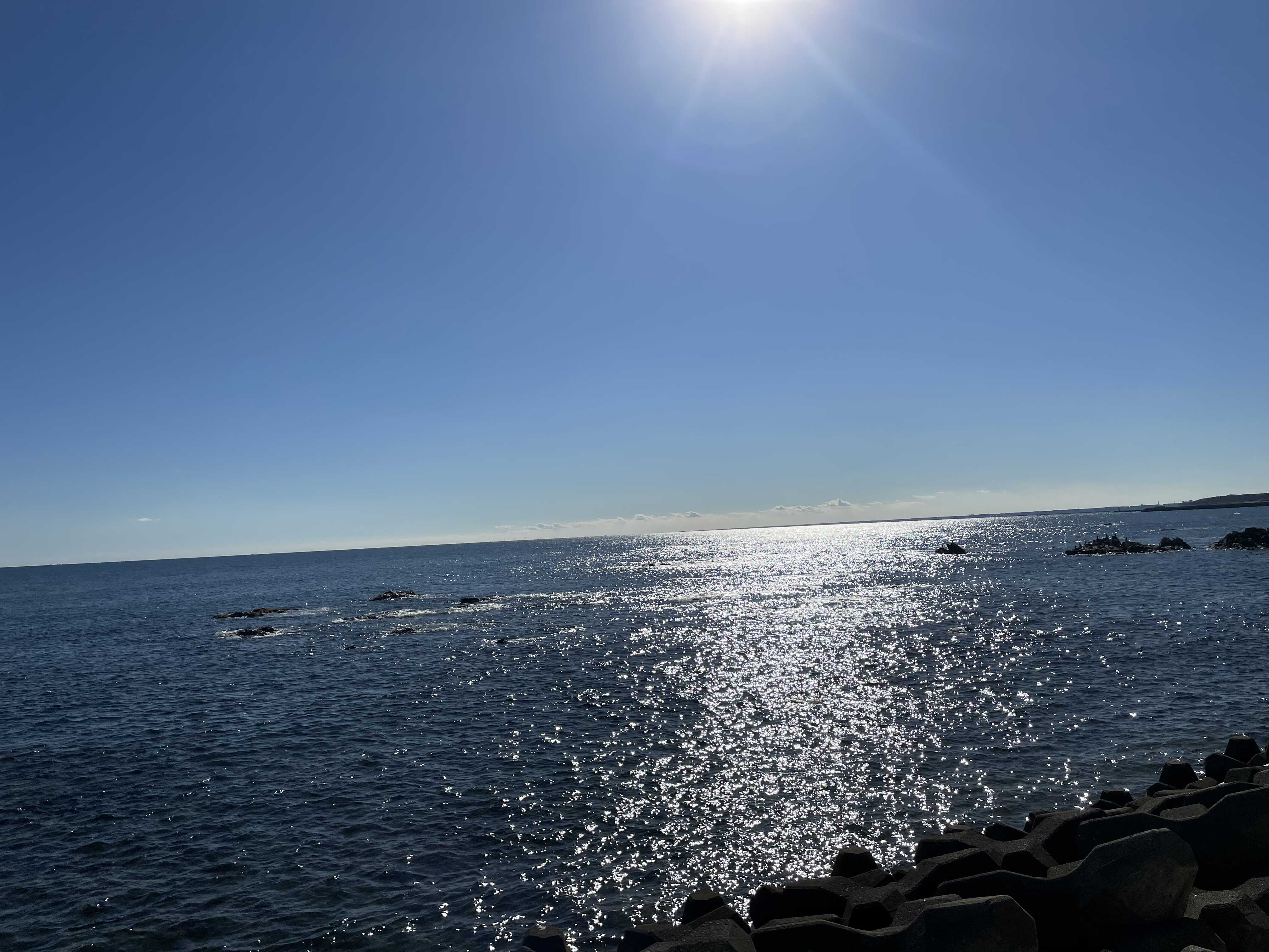 shota173995のブログ