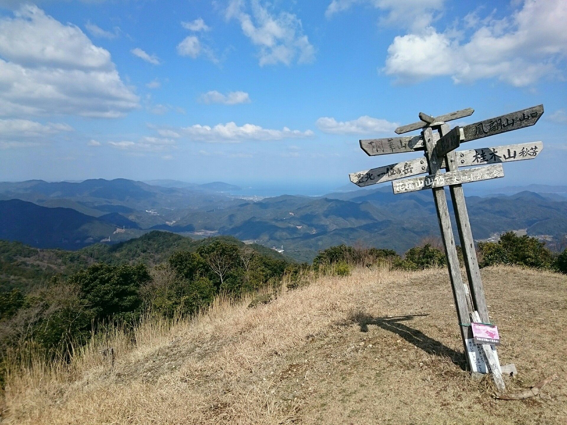 3/15/2020 花尾山(長門市)～ミツマタ観賞登山 | 野遊び日記 - 楽天ブログ