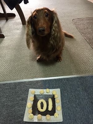 2015-10-24 15.32.55.jpg