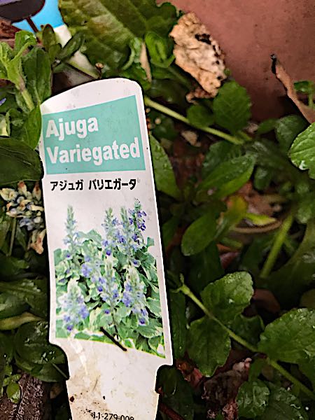 rblog-20190419194050-08.jpg