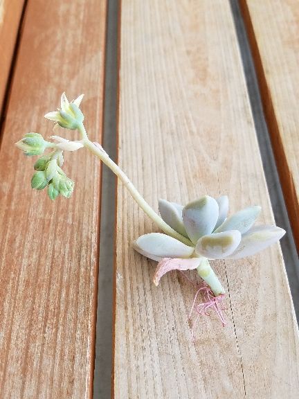 rblog-20180430124221-07.jpg