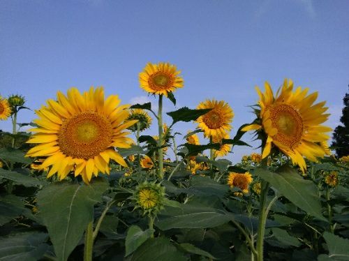 rblog-20180721103036-01.jpg
