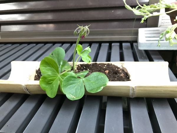 rblog-20181023165118-04.jpg