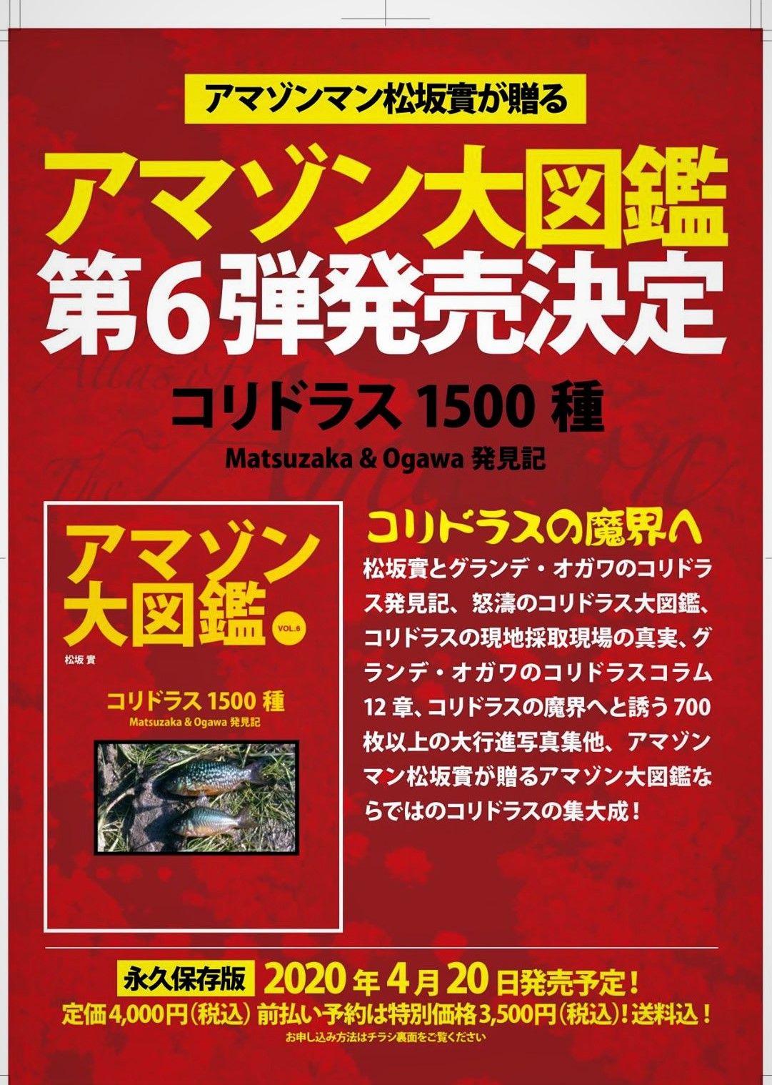 47ページ目の カテゴリ未分類 アマゾンマンの日記 楽天ブログ