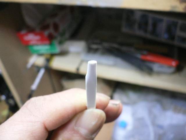P1050235.jpg