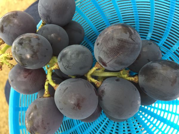 rblog-20170904115905-03.jpg