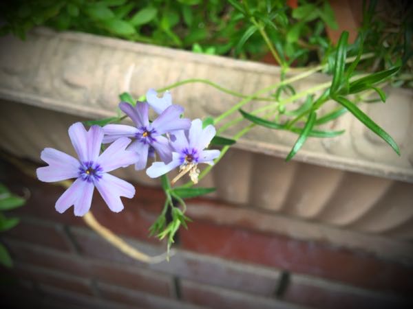 rblog-20160427174731-02.jpg