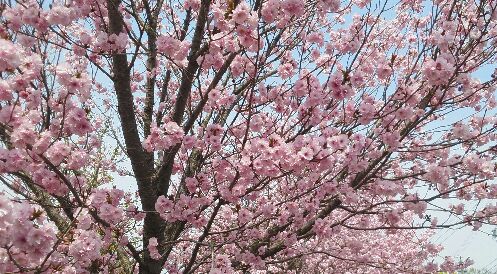 rblog-20150404152205-01.jpg