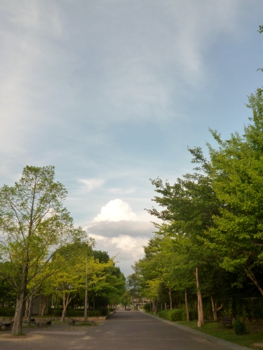 020 (375x500).jpg