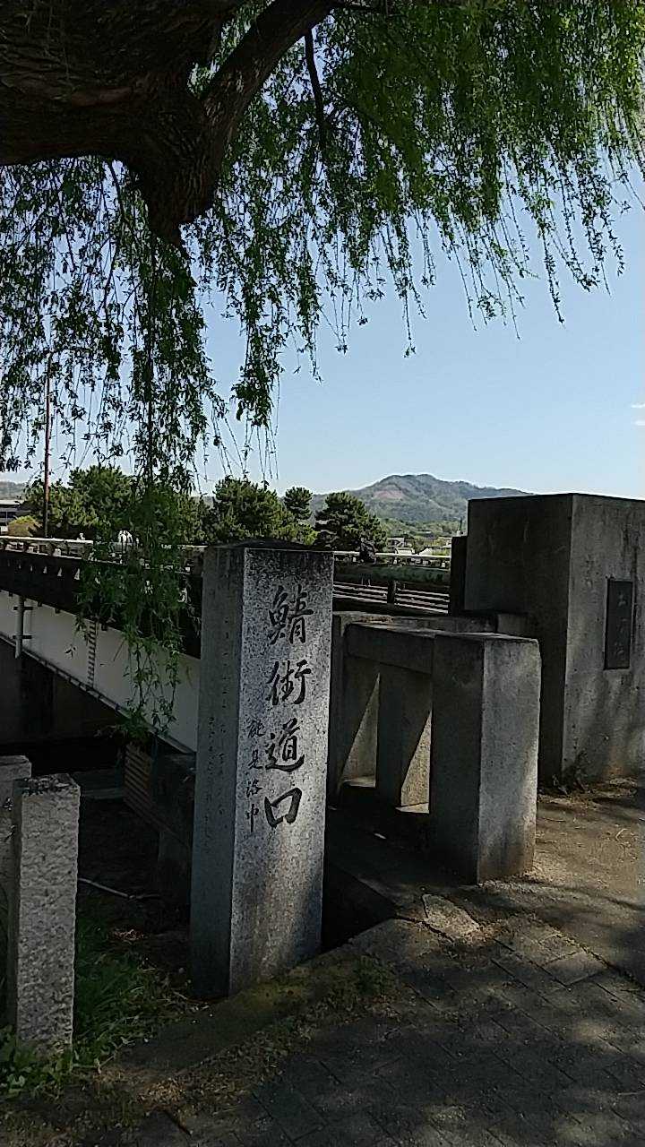 久しぶりの鴨川散策です | ぶんぶんの雑日記 - 楽天ブログ
