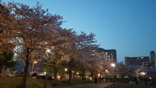 rblog-20180410235834-00.jpg