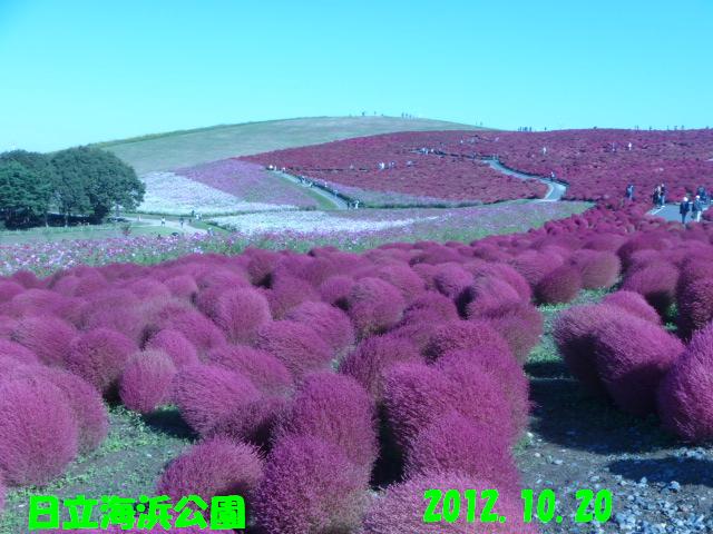 10月-2 002.jpg