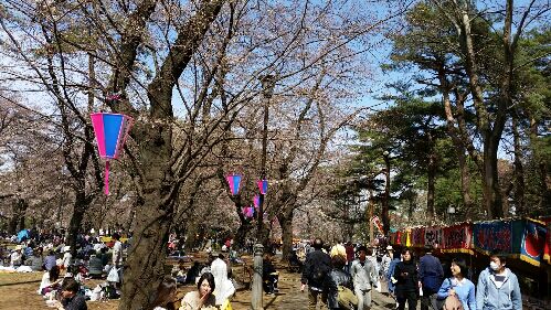 rblog-20150331194119-01.jpg