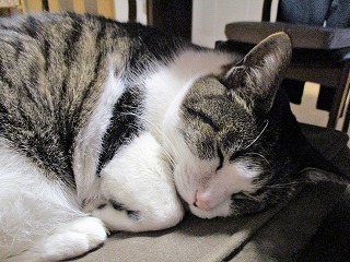 IMG_9564ss.jpg