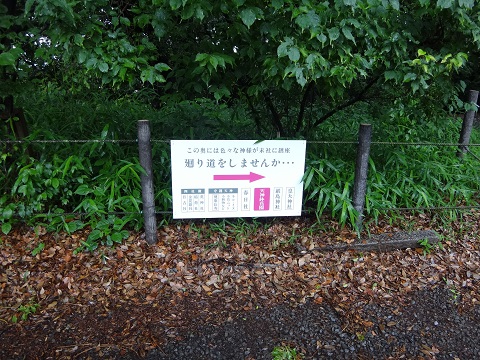DSC09096.JPG