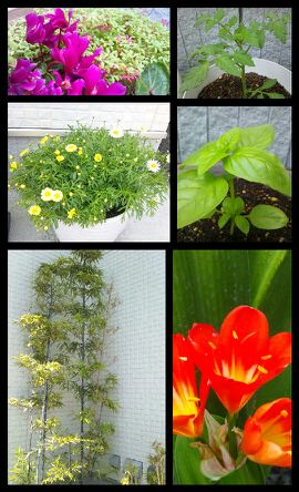 rblog-20140417142034-01.jpg