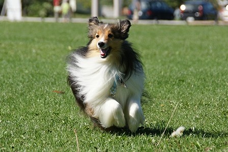 DSC04105.jpg