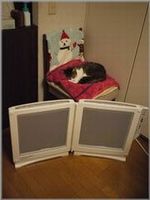 開ききったところ 
