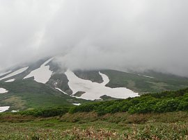 雪の鶴2.JPG