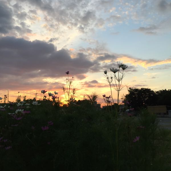 rblog-20160706064900-01.jpg