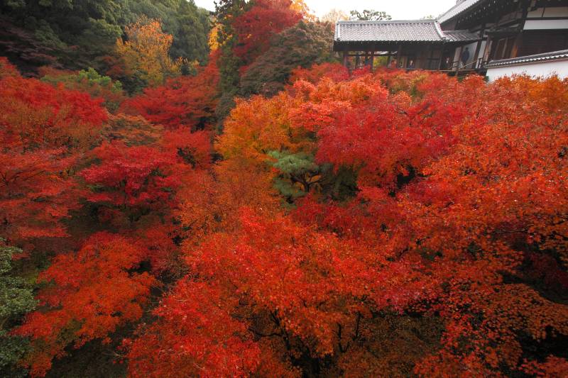 通天橋_005方丈通天台・超広角.jpg