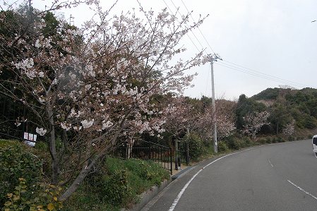 s-DSC_0456.jpg