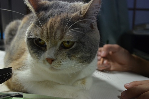 2012.5.5.jya10.jpg