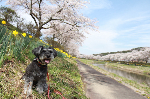 150419_58.jpg
