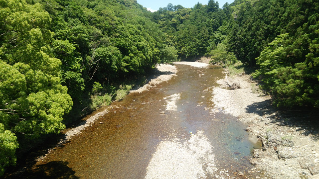 resize0031.jpg